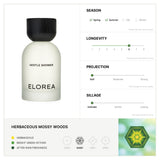 Woody Discovery Set