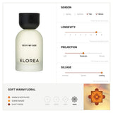 Warm Discovery Set